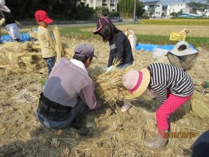IMG_1556