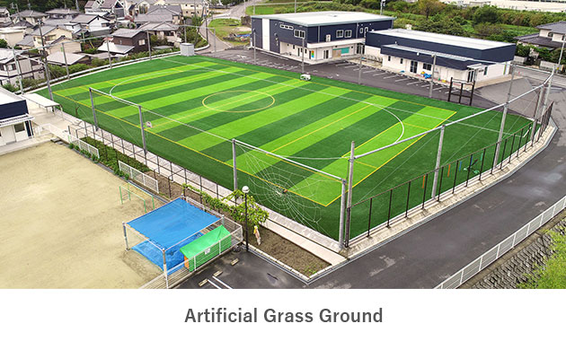 Artificial grass ground